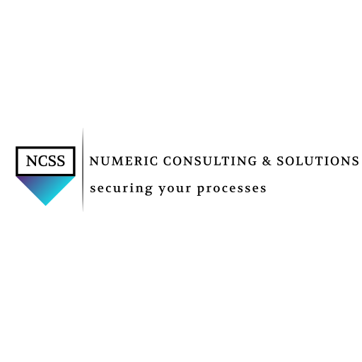 NUMERIC CONSULTING & SOLUTIONS LTD.